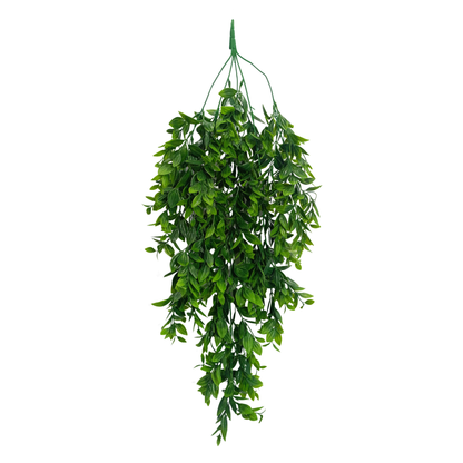 Hanging Spiderwort Leaf Light Green White (Pack of 10)