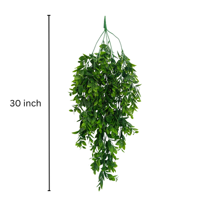 Hanging Spiderwort Leaf Light Green White (Pack of 10)