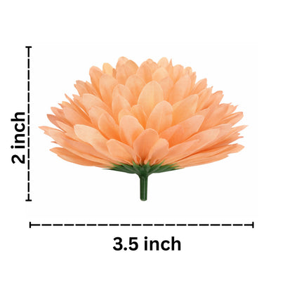 Peach-colored flower with dimensions labeled on a white background