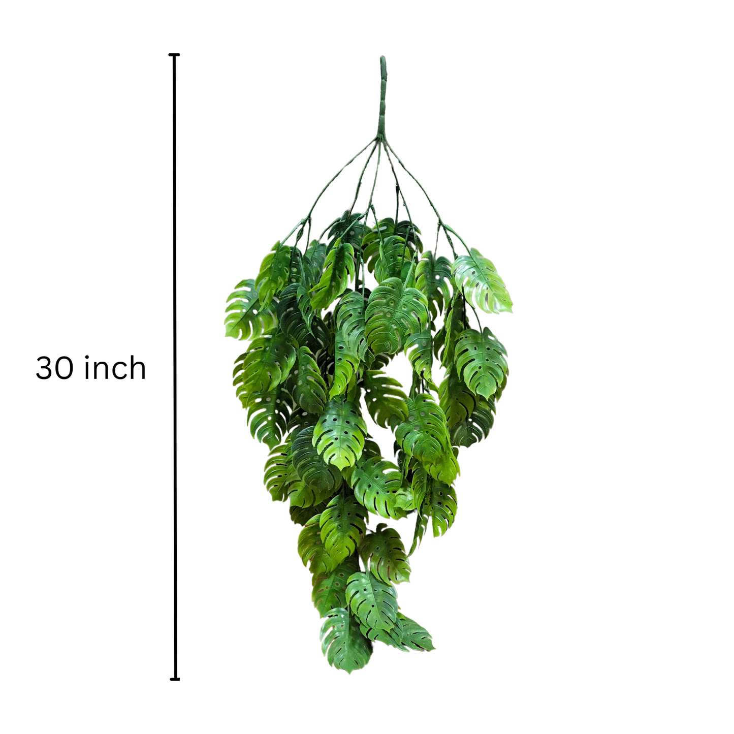 Hanging Monstera Leaf (Pack of 10)