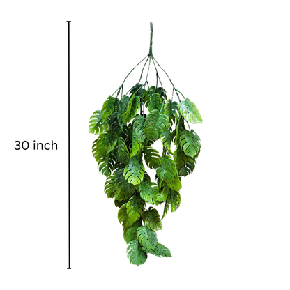 Hanging Monstera Leaf (Pack of 10)