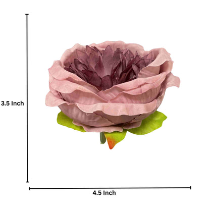Dark Onion Pink Diamond Peony (Pack of 50)