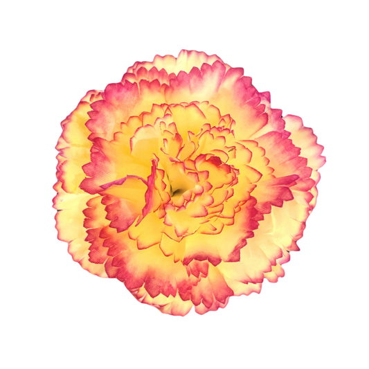 Lemon yellow Big Carnation (Pack of 200)