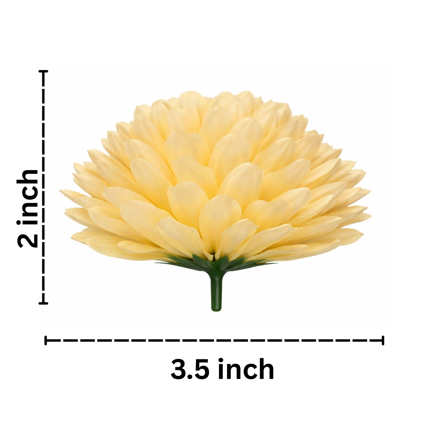 Yellow flower with dimensions labeled on a white background