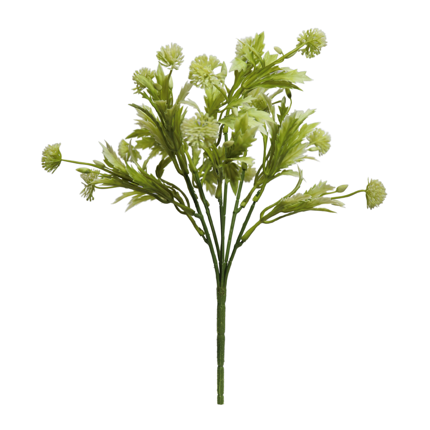 Bunch Allium 13 Head Light Green White (Pack of 5)