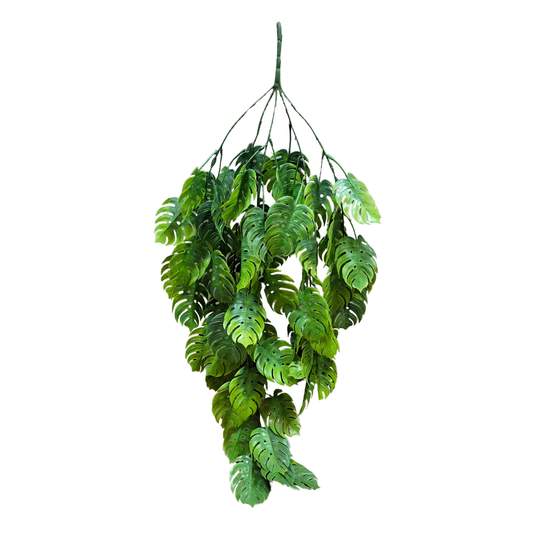 Hanging Monstera Leaf (Pack of 10)