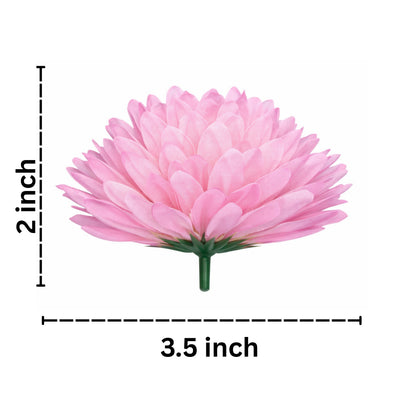 Pink flower with measurements on a white background