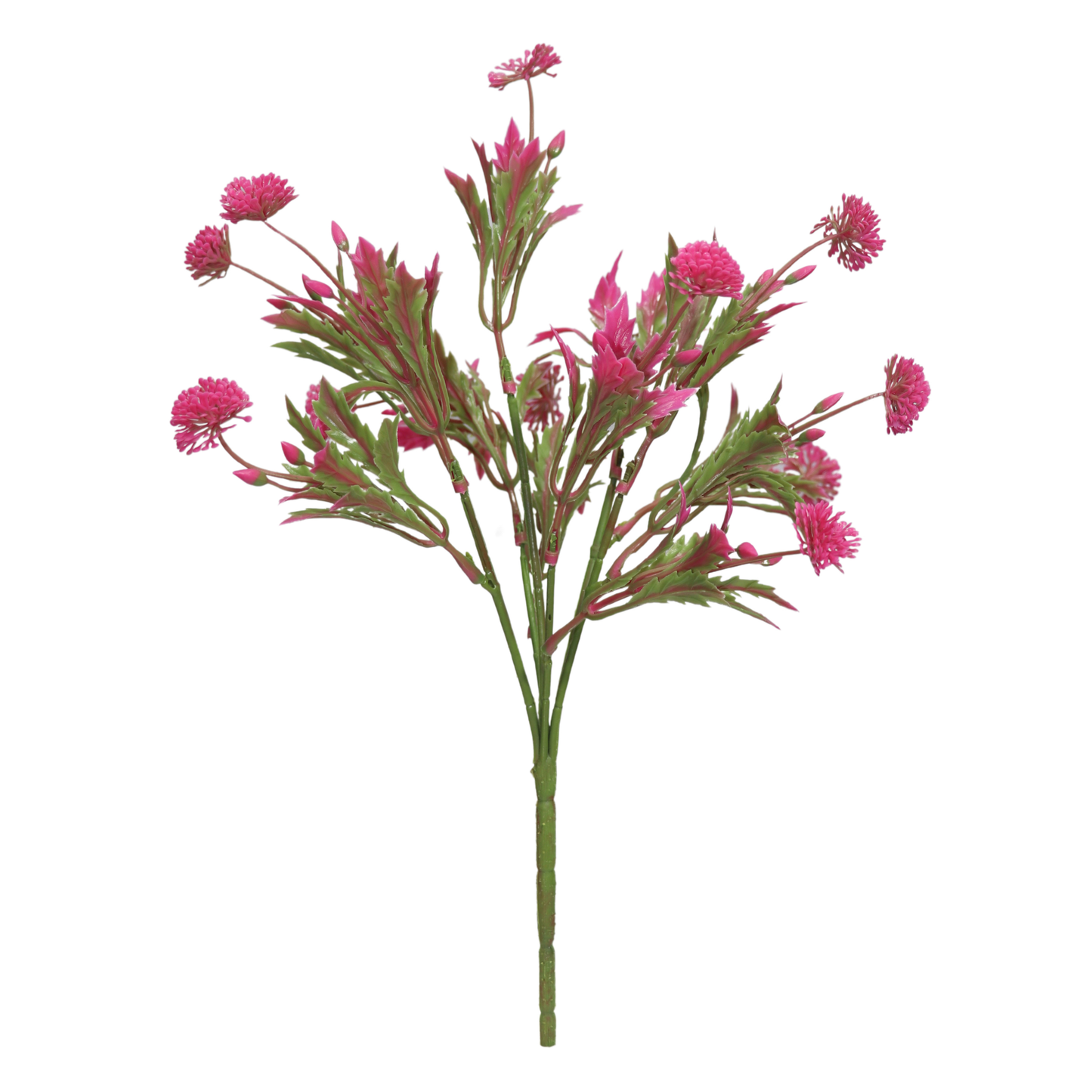 Bunch Allium 13 Head Green Pink (Pack of 5)