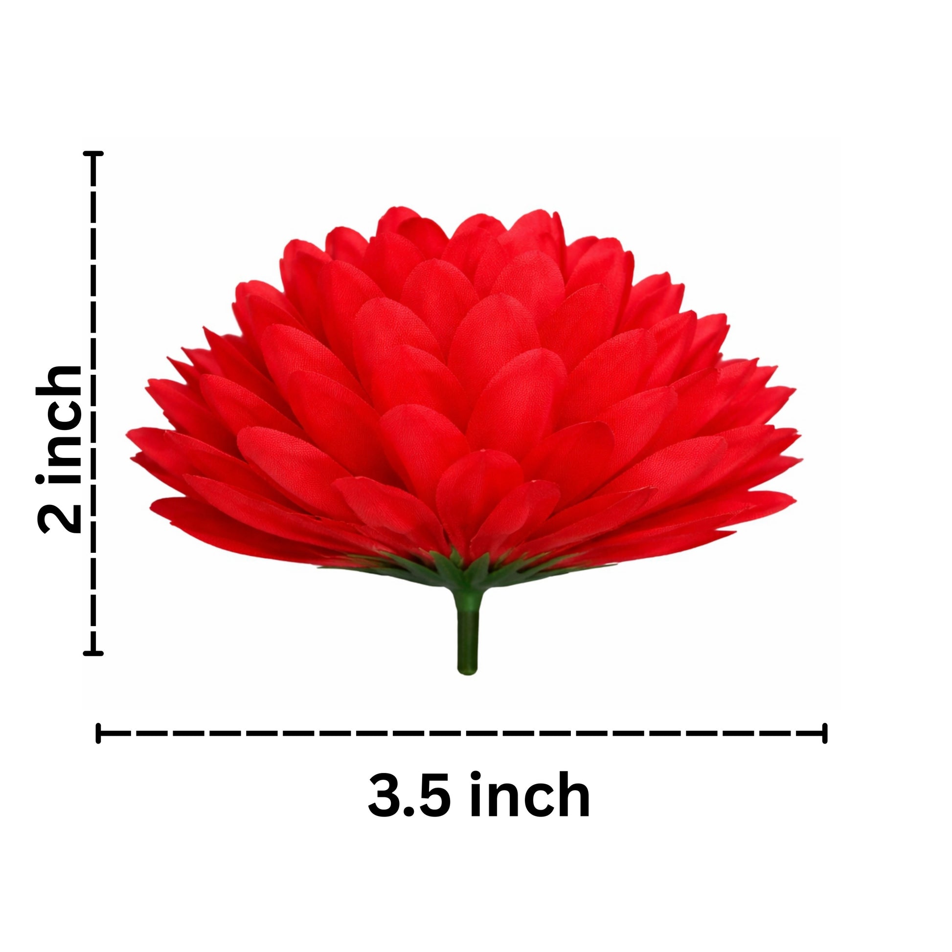 Red flower with dimensions labeled on a white background