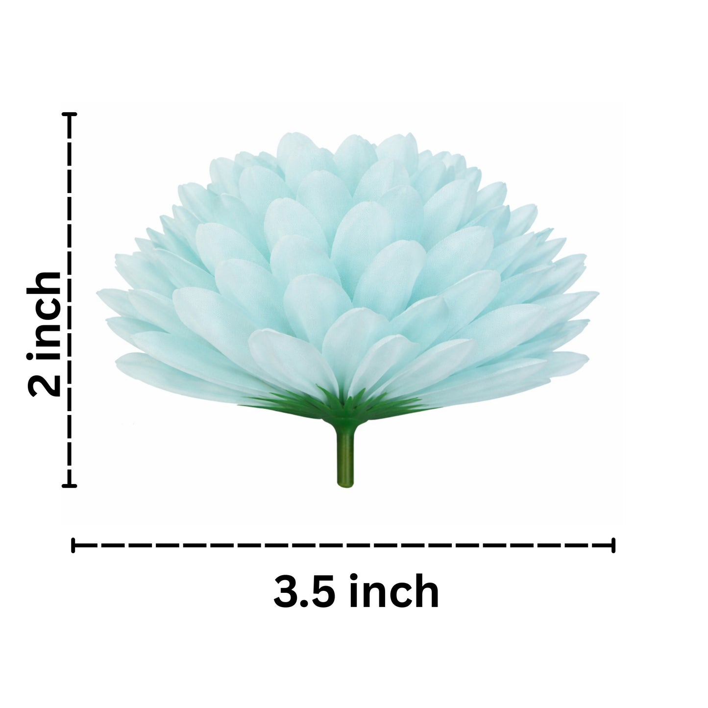 Measurement chart of a light blue flower with dimensions labeled on a white background