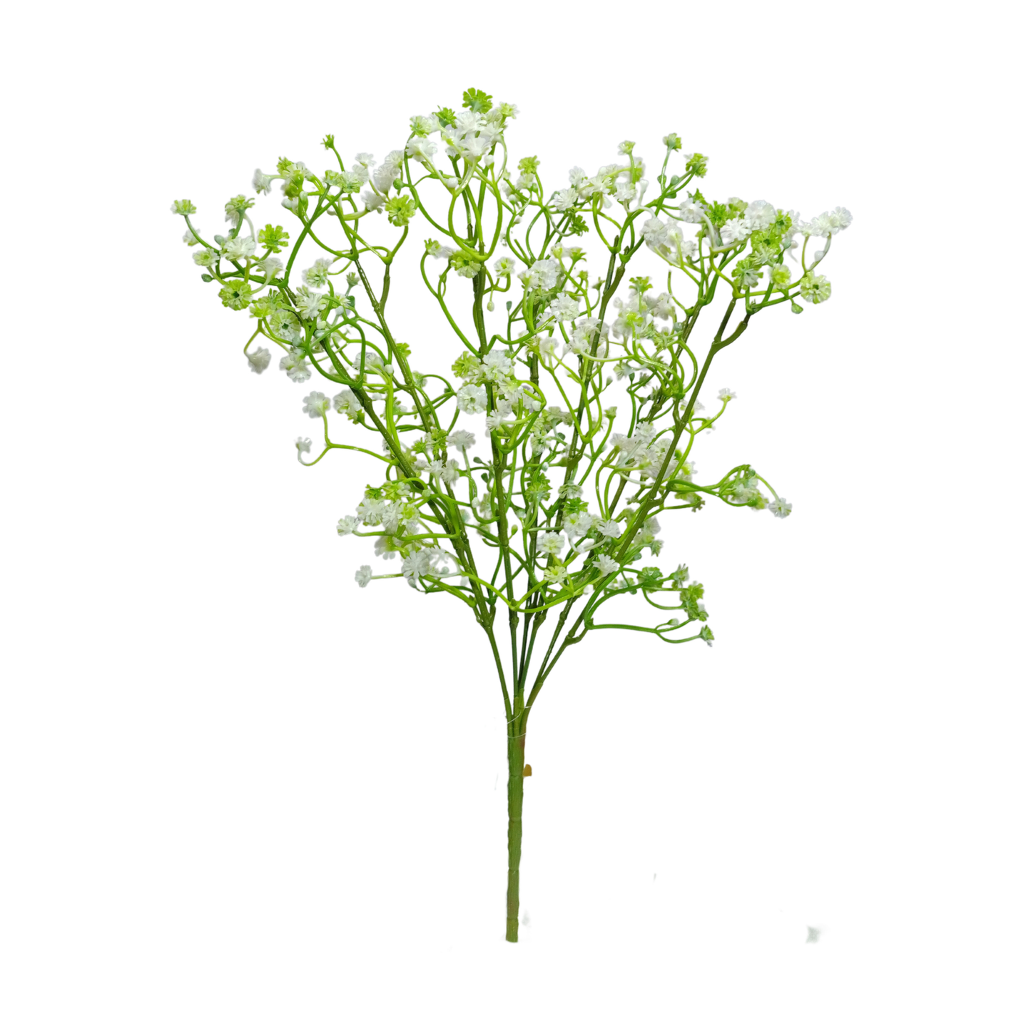 Bunch Gypsophila 42 Head White (Pack of 5)