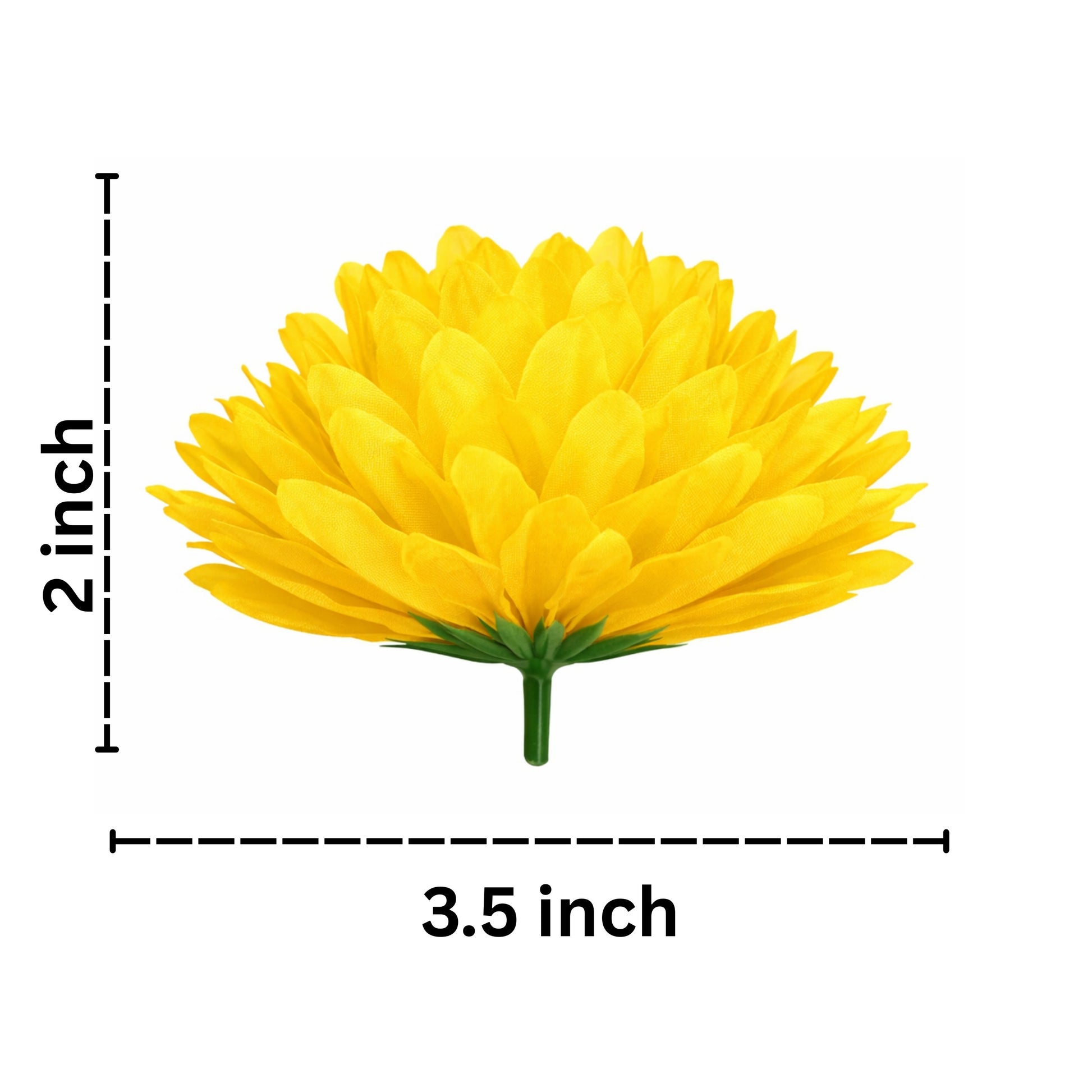Yellow flower with dimensions labeled on a white background