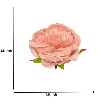 D/S Pink Diamond Peony (Pack of 50)
