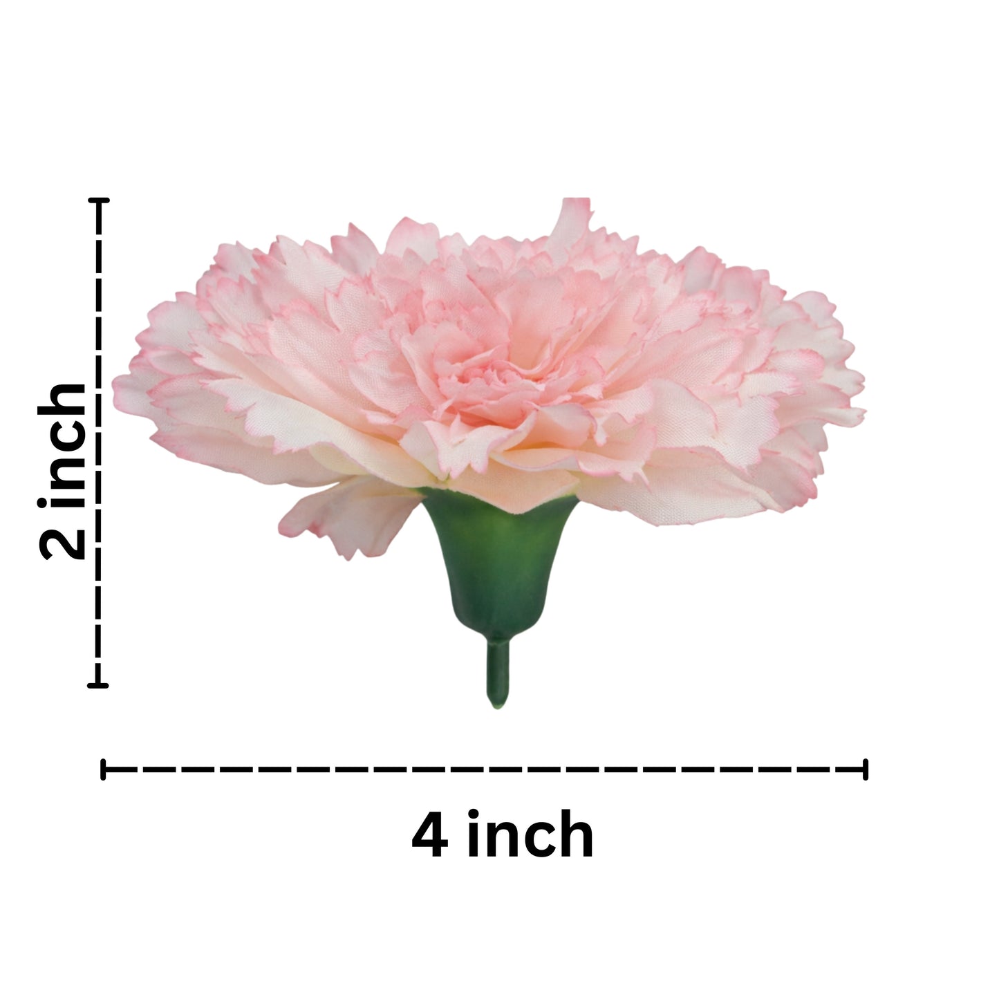 Light Magenta Big Carnation (Pack of 200)