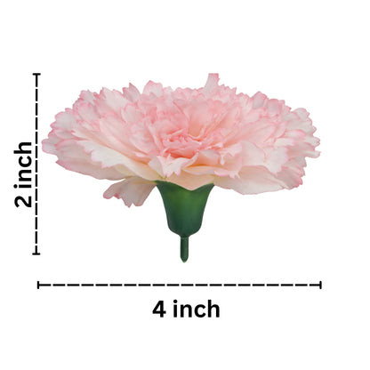 Light Magenta Big Carnation (Pack of 200)