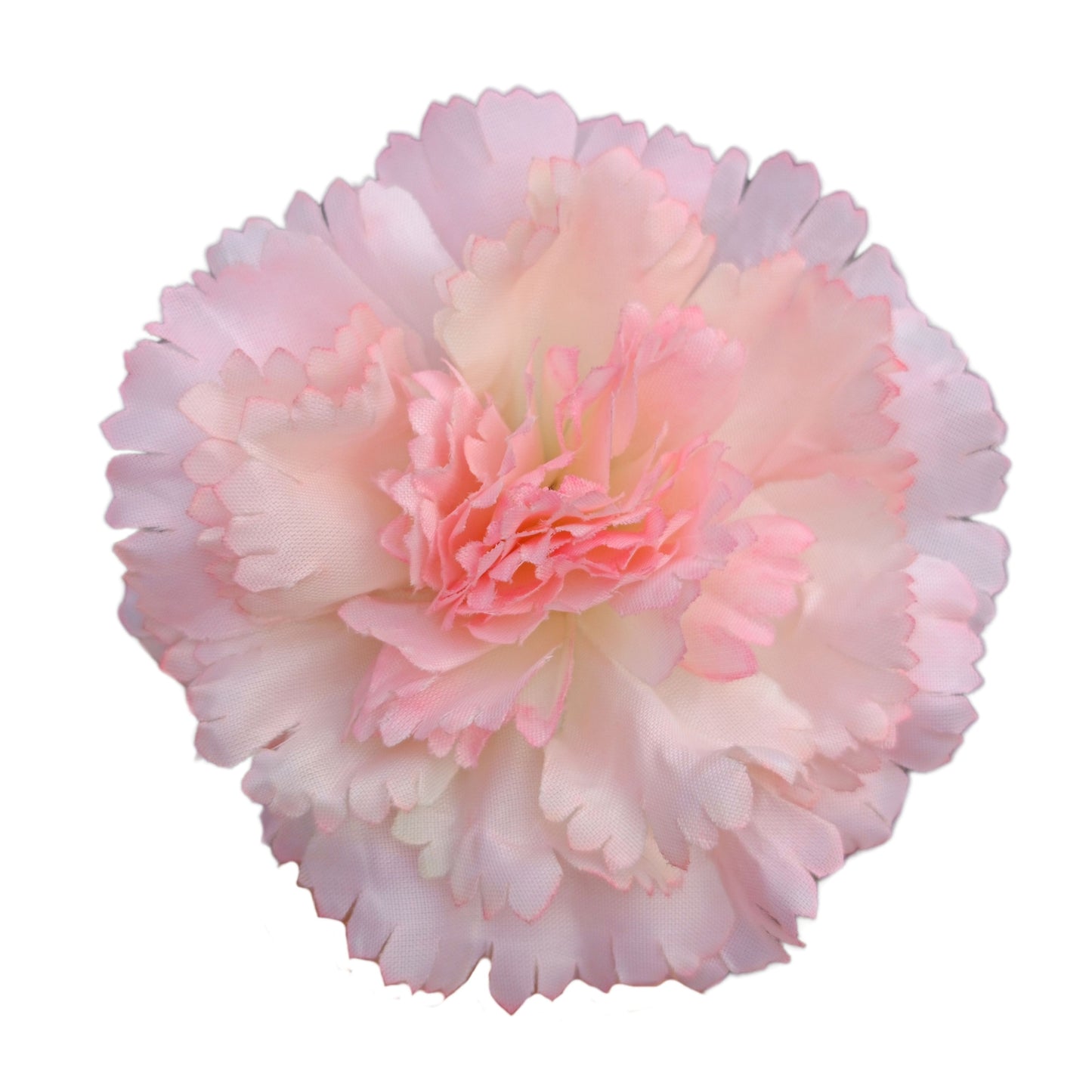 Light Magenta Big Carnation (Pack of 200)