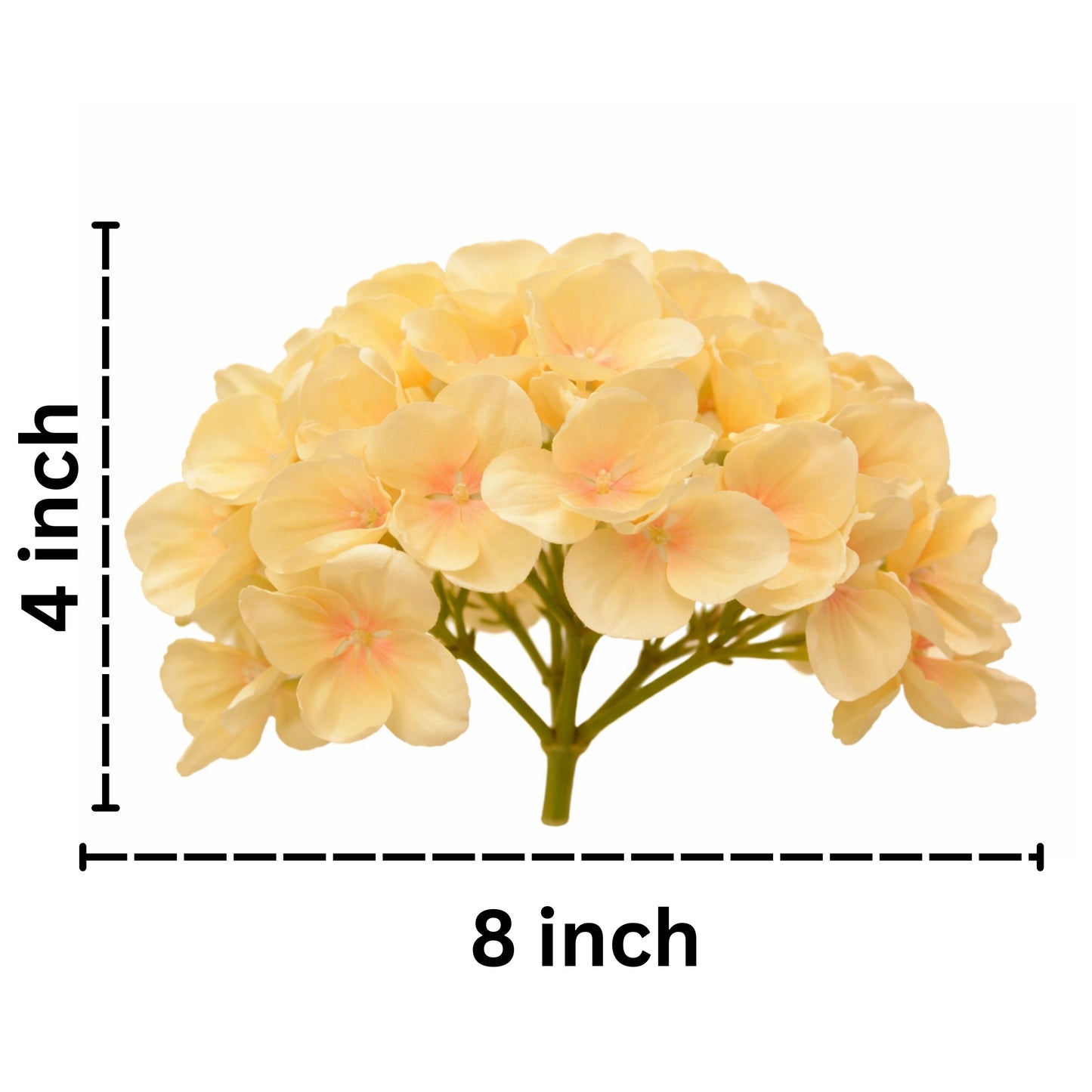 Peach Brown Flr Hydrangea 54 Petals (Pack of 50)