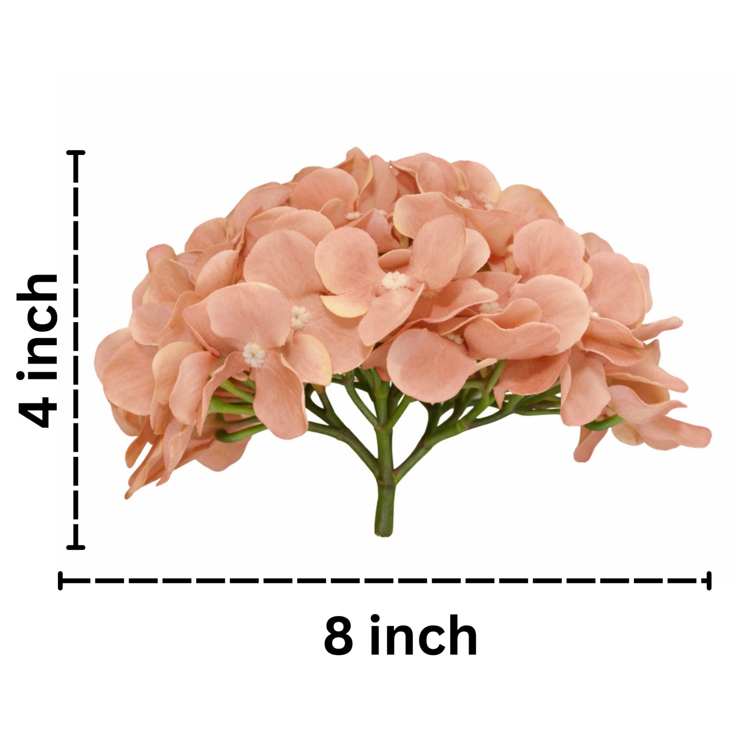 Light Brown Flr Hydrangea 54 Petals (Pack of 50)