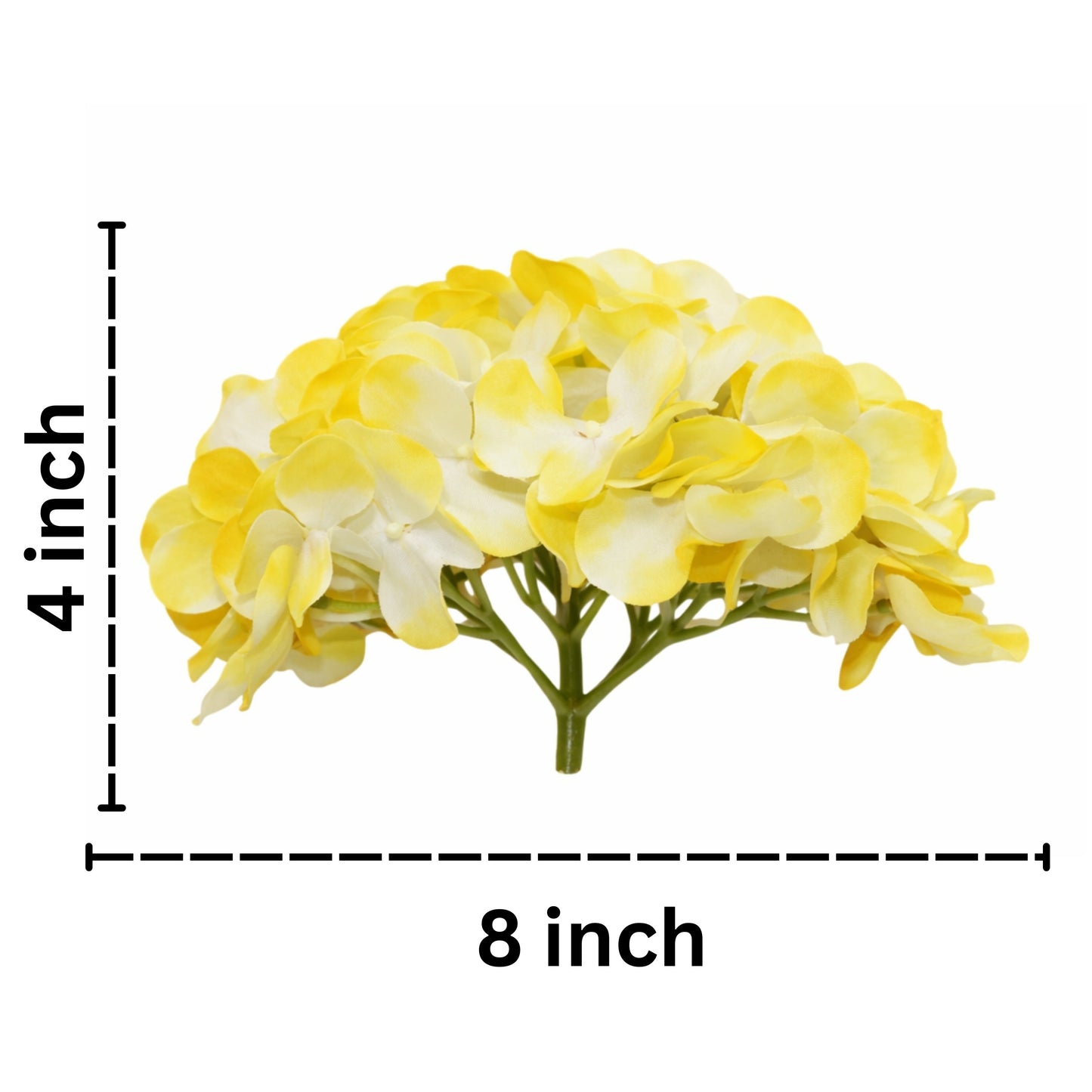 Yellow White Flr Hydrangea 54 Petals (Pack of 50)
