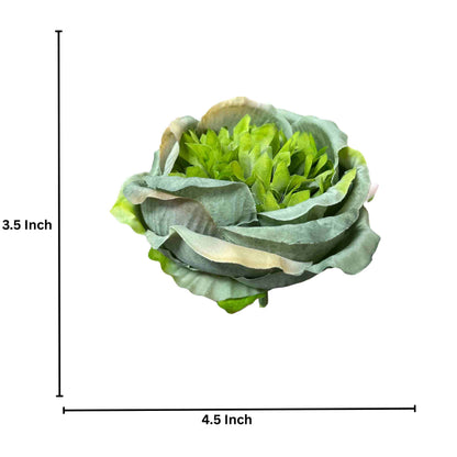 Green Diamond Peony (Pack of 50)