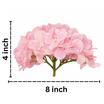 Peach Pink Flr Hydrangea 54 Petals (Pack of 50)