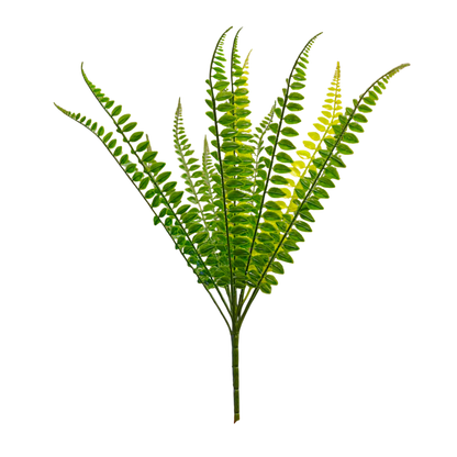 Bunch Fern Leaf D/s Green (Pack of 5)