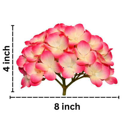 Light Pink Cream Flr Hydrangea 54 Petals (Pack of 50)