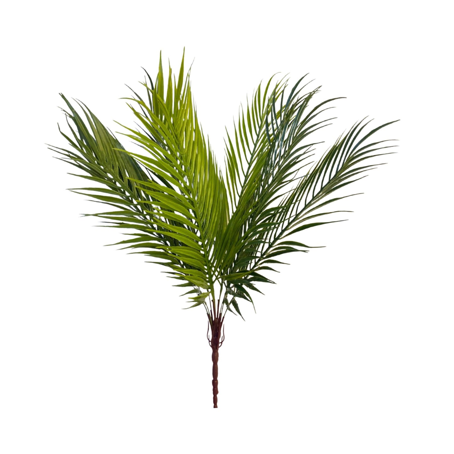 Bunch Areca Palm Leaf D/s Green (Pack of 5)