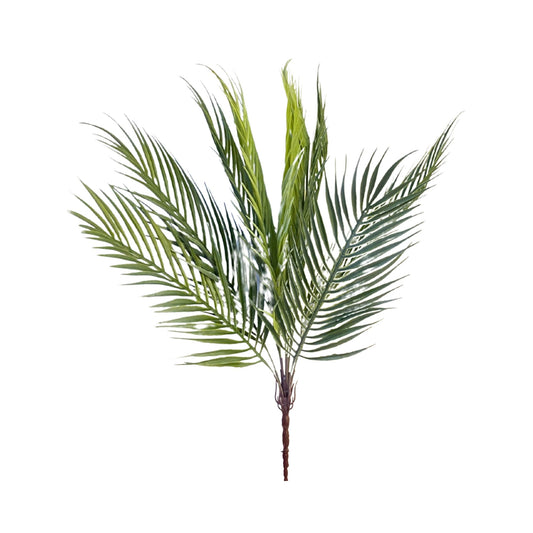 Bunch Areca Palm Leaf D/s Light Green (Pack of 5)