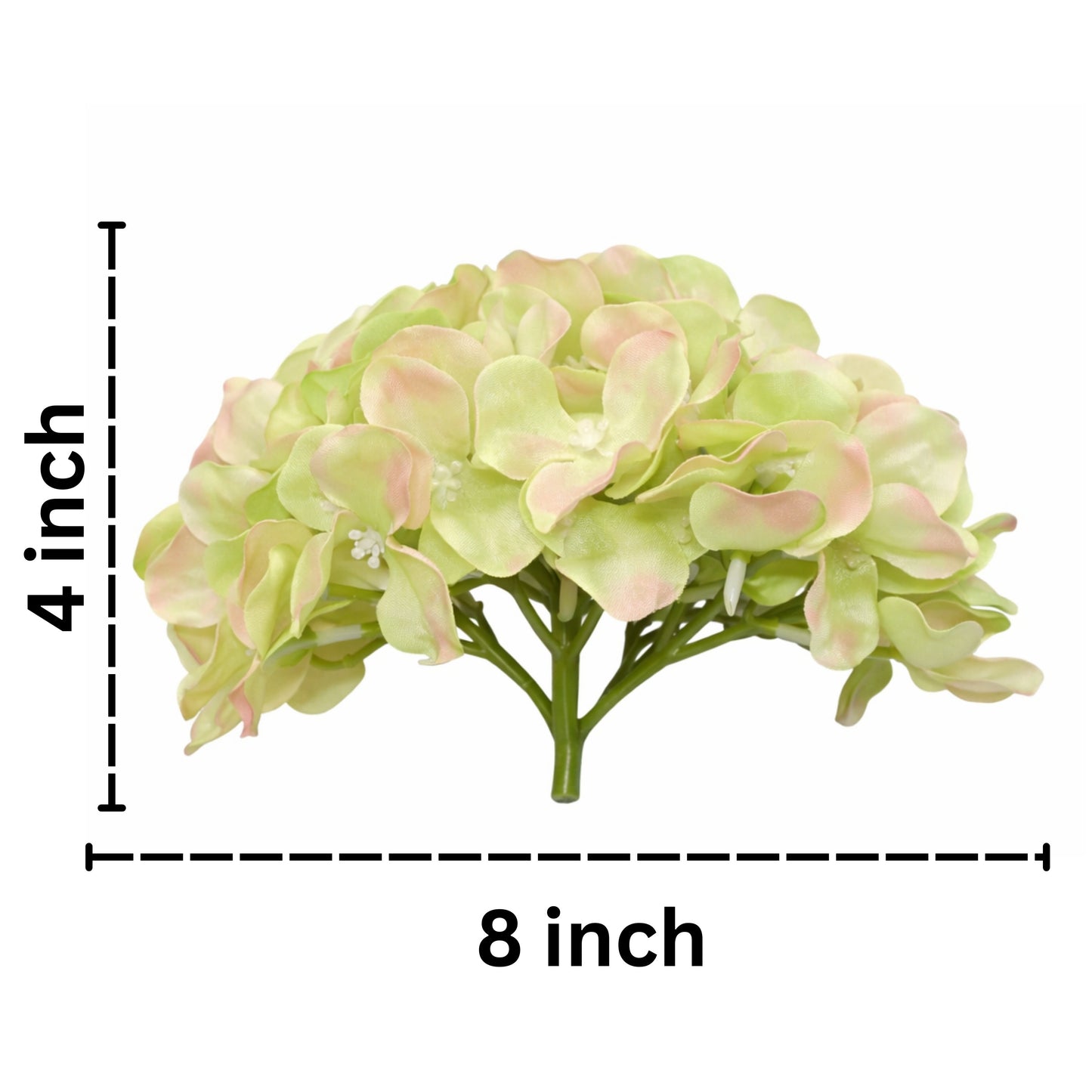 Light Green White Flr Hydrangea 54 Petals (Pack of 50)