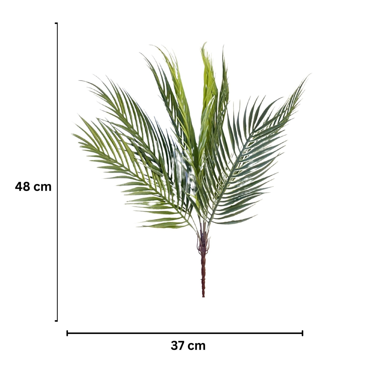 Bunch Areca Palm Leaf D/s Light Green (Pack of 5)