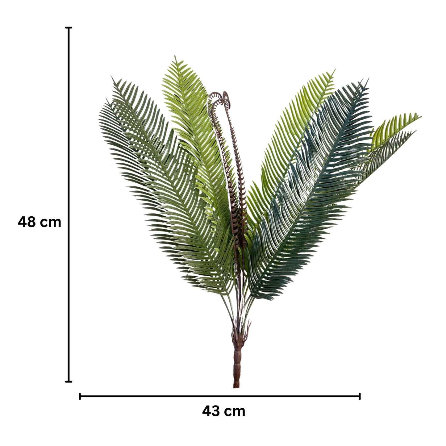 Bunch Palm Leaf D/s Green Red (Pack of 5)