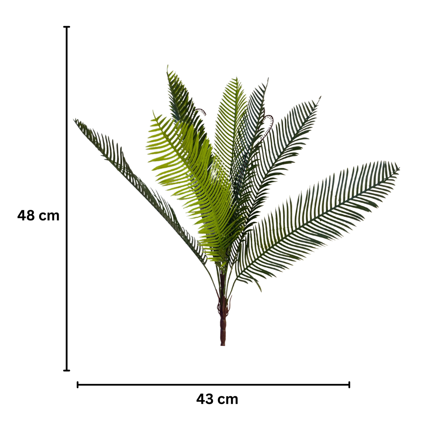 Bunch Ostrich Fern Leaf D/s Green (Pack of 5)