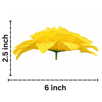 Yellow White Flr M Chrysanthemum (Mother Guldabri) (Pack of 100)