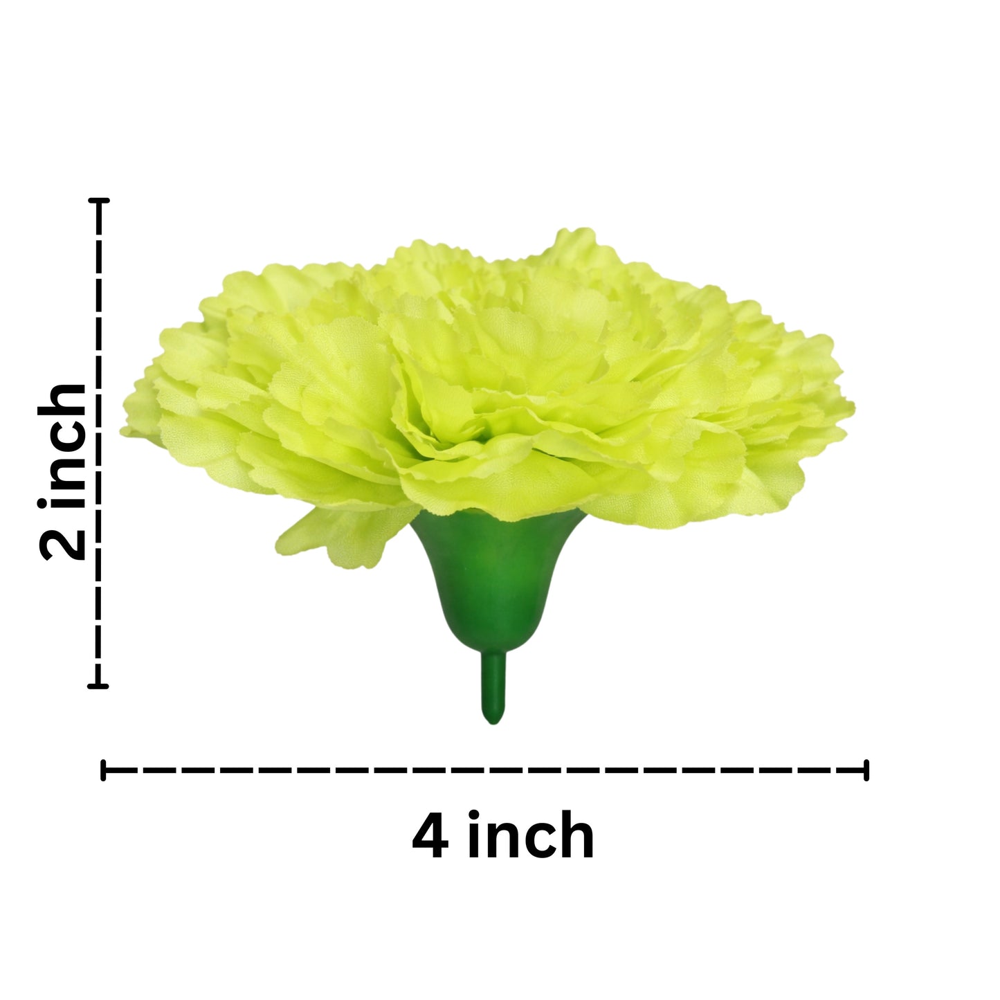 Lime Green Big Carnation (Pack of 200)
