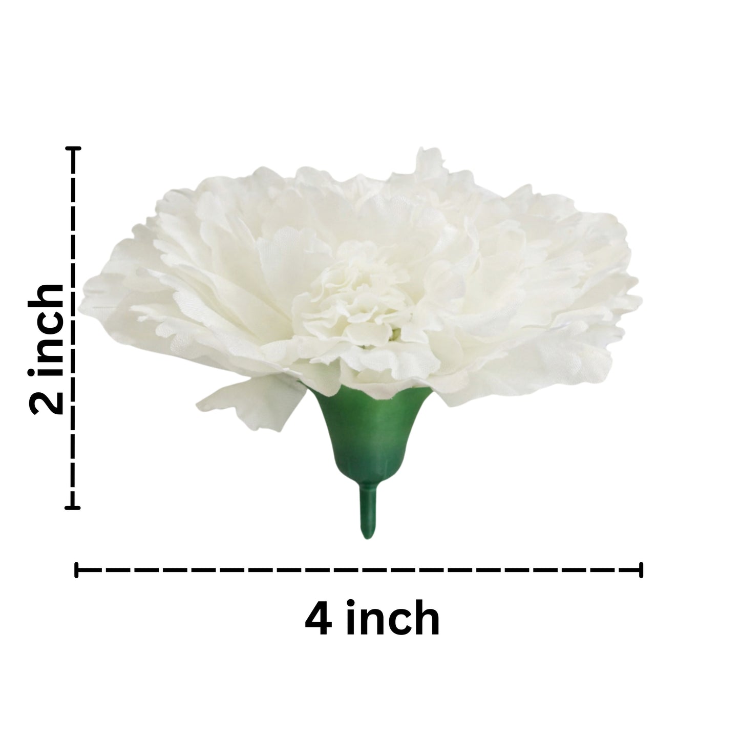 Off White Big Carnation (Pack of 200)