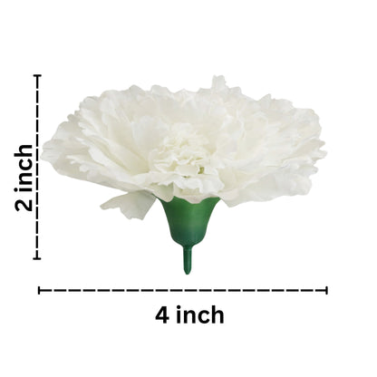 Off White Big Carnation (Pack of 200)