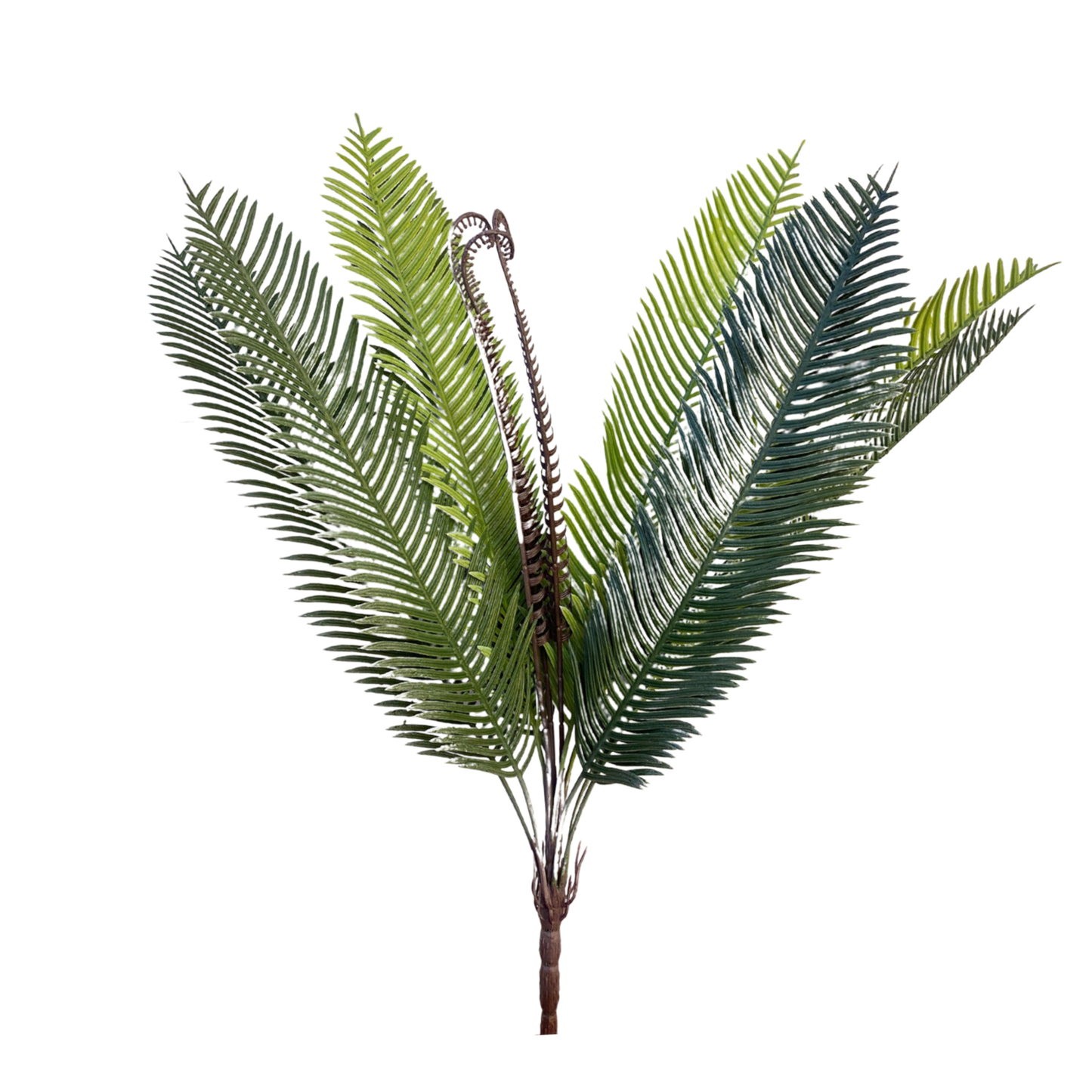 Bunch Palm Leaf D/s Light Green (Pack of 5)