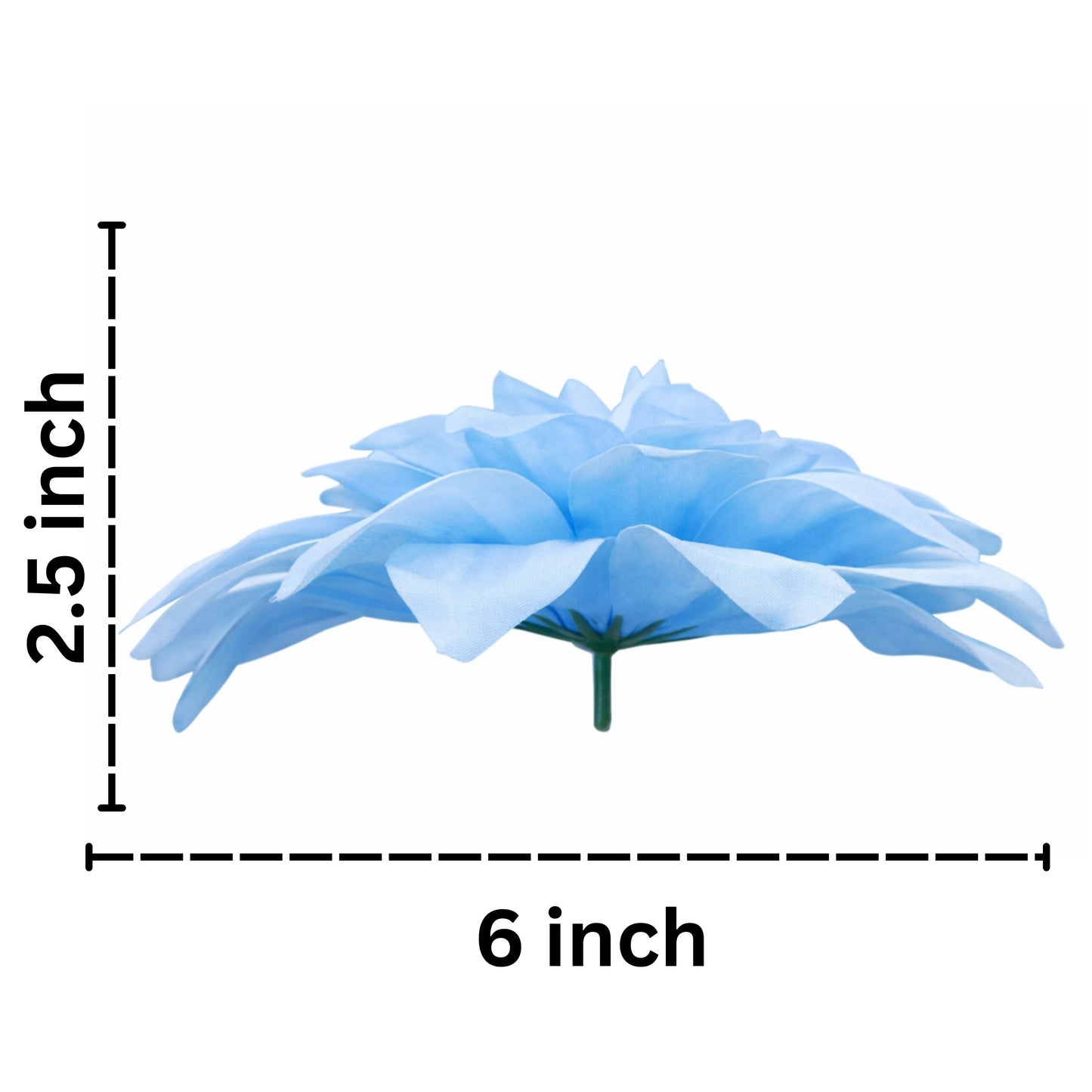 Sky Blue Flr M Chrysanthemum (Mother Guldabri) (Pack of 100)