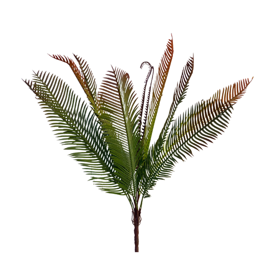 Bunch Palm Leaf D/s Green (Pack of 5)