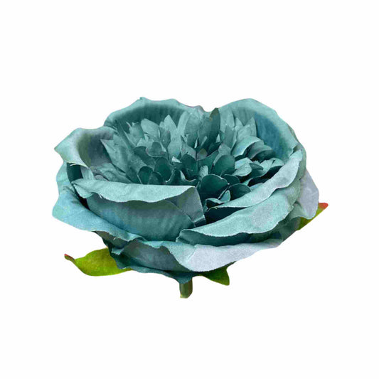 Blue Diamond Peony (Pack of 50)