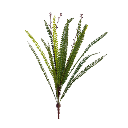 Bunch Ebony Spleenwort Leaf 59cm D/s Green (Pack of 5)