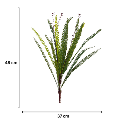Bunch Ebony Spleenwort Leaf 59cm D/s Green (Pack of 5)