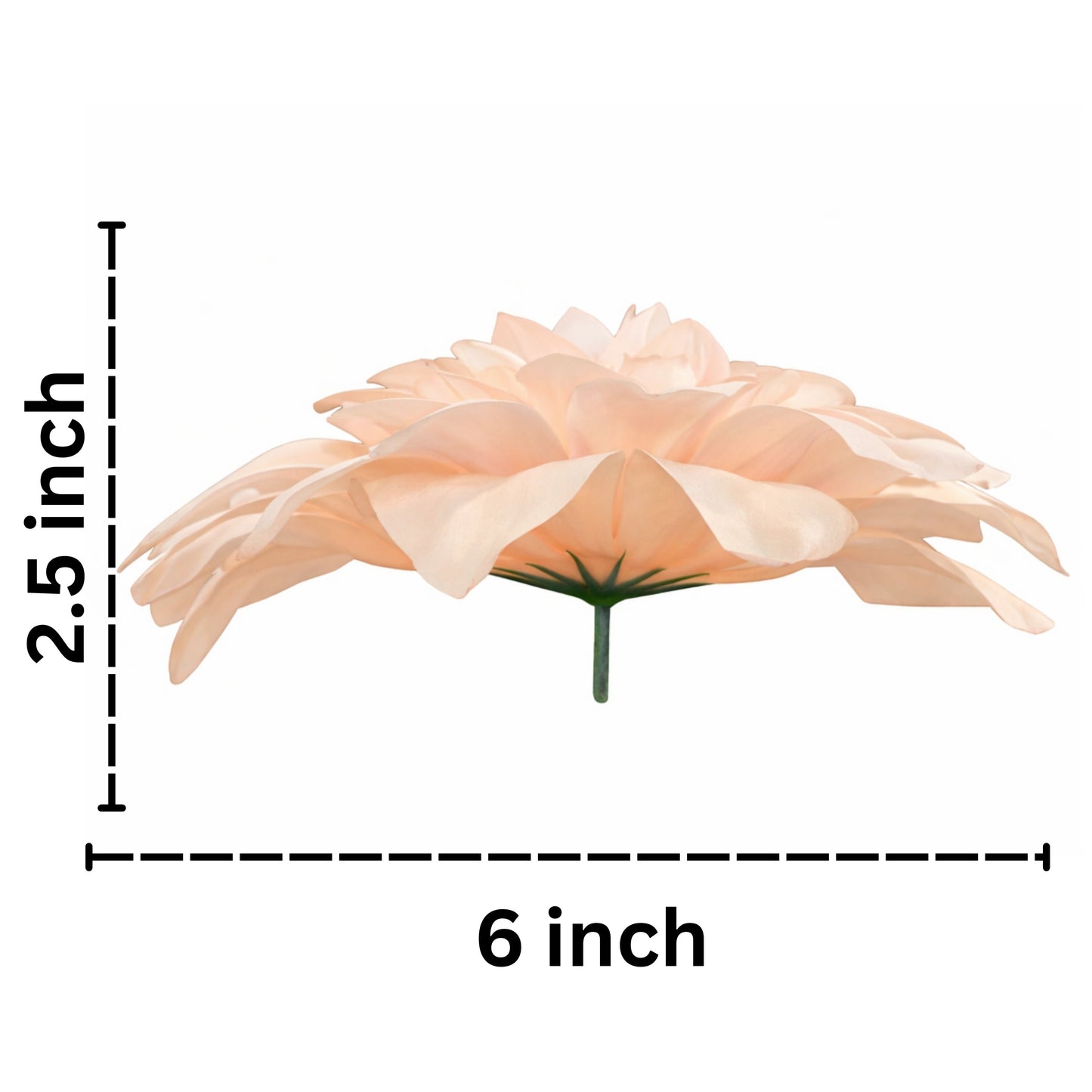 Peach Flr M Chrysanthemum (Mother Guldabri) (Pack of 100)