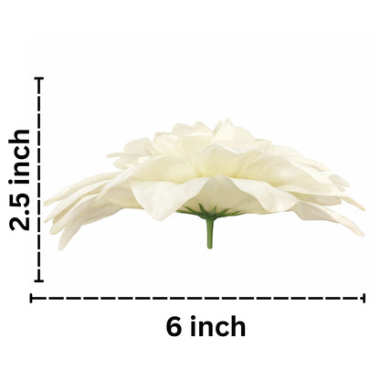 Off White Flr M Chrysanthemum (Mother Guldabri) (Pack of 100)
