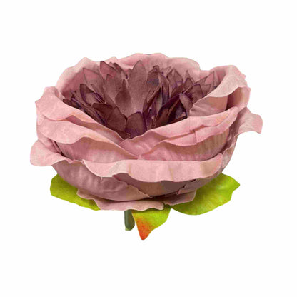 Dark Onion Pink Diamond Peony (Pack of 50)