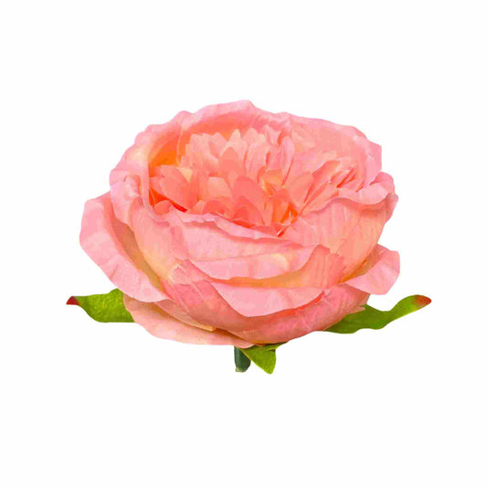D/S Pink Diamond Peony (Pack of 50)