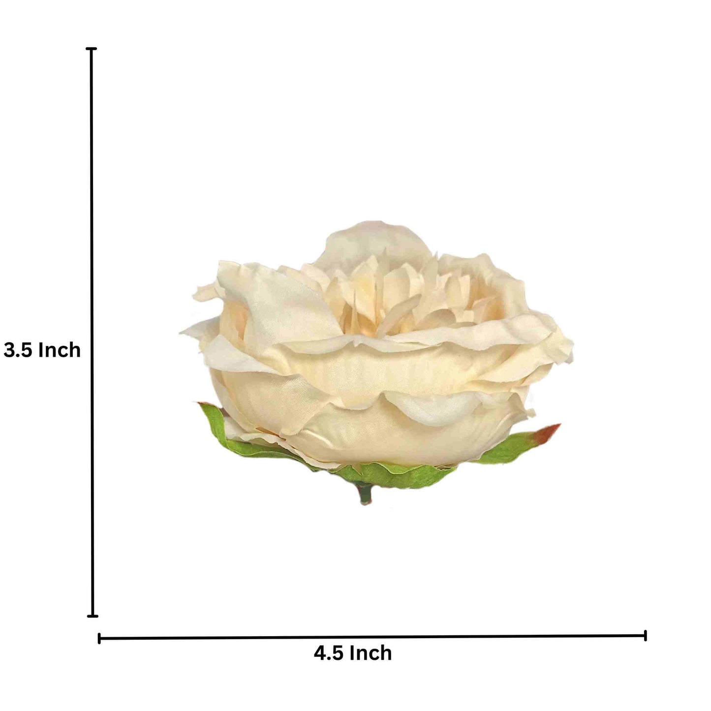 Light Peach Brown Diamond Peony (Pack of 50)