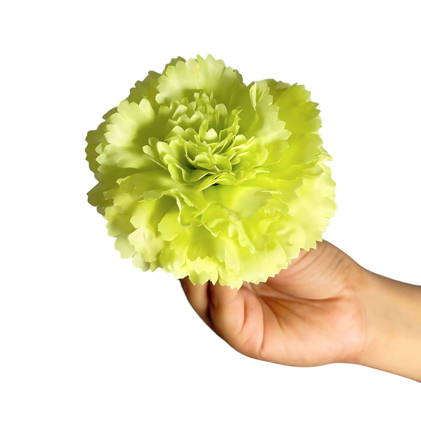 Lime Green Big Carnation (Pack of 200)