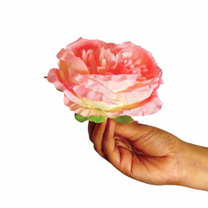 D/S Pink Diamond Peony (Pack of 50)